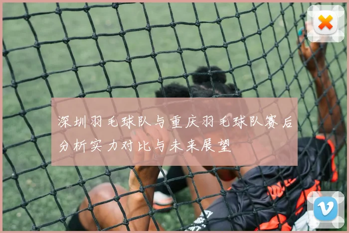 深圳羽毛球队与重庆羽毛球队赛后分析实力对比与未来展望