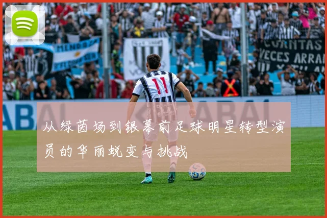 从绿茵场到银幕前足球明星转型演员的华丽蜕变与挑战